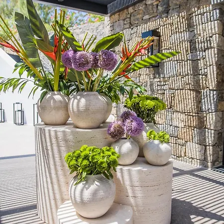Hotel Noima Boutique Mykonos Agios Ioannis Diakoftis