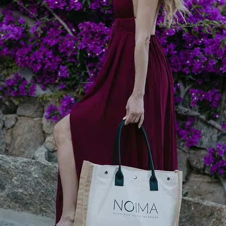 Hotel Noima Boutique Mykonos Agios Ioannis Diakoftis