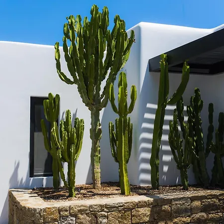 Hotel Noima Boutique Mykonos Agios Ioannis Diakoftis