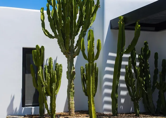 酒店 Noima Boutique Mykonos Agios Ioannis Diakoftis