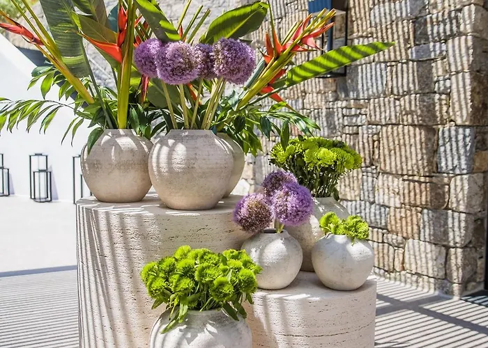 酒店 Noima Boutique Mykonos Agios Ioannis Diakoftis